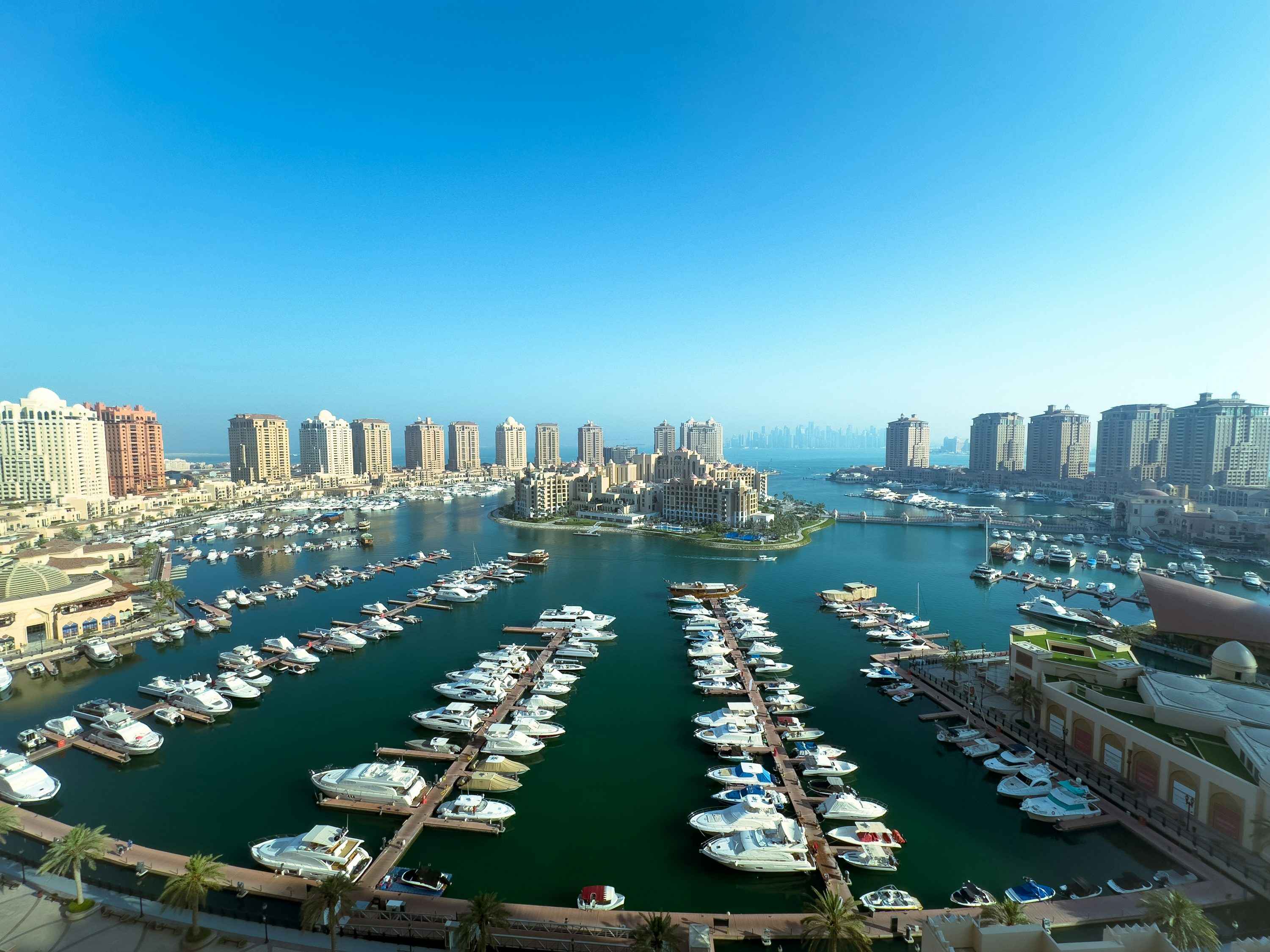 Marina filled with boats next to tall buildings