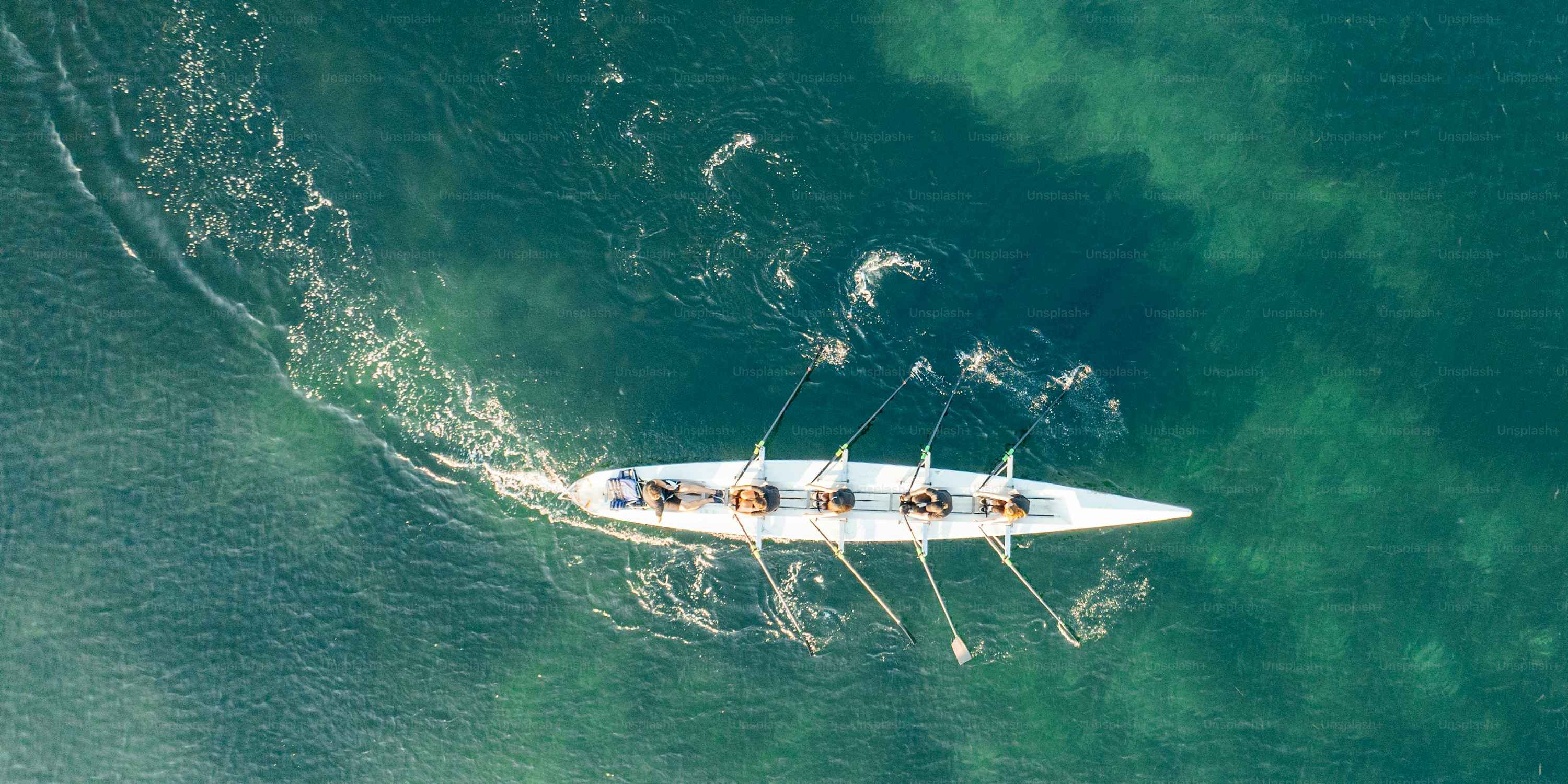 Crew team rows on water